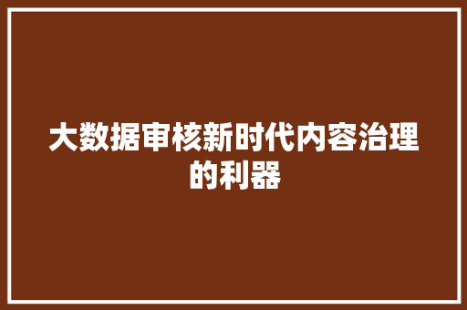 大数据审核新时代内容治理的利器