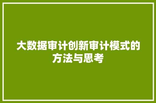 大数据审计创新审计模式的方法与思考