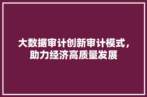 大数据审计创新审计模式，助力经济高质量发展