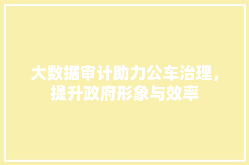 大数据审计助力公车治理，提升政府形象与效率  第1张