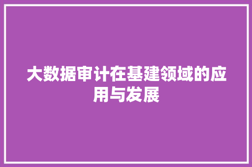 大数据审计在基建领域的应用与发展