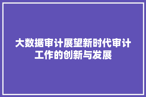 大数据审计展望新时代审计工作的创新与发展