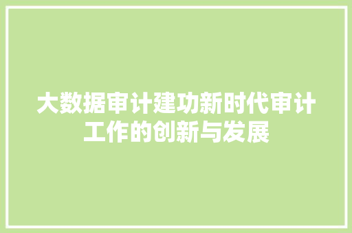 大数据审计建功新时代审计工作的创新与发展  第1张