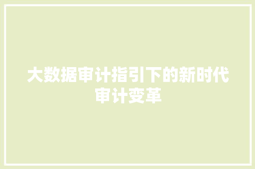 大数据审计指引下的新时代审计变革  第1张