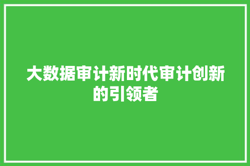 大数据审计新时代审计创新的引领者