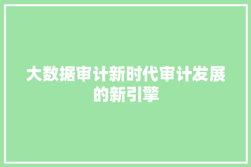 大数据审计新时代审计发展的新引擎