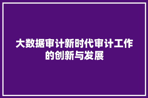 大数据审计新时代审计工作的创新与发展