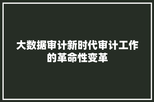 大数据审计新时代审计工作的革命性变革  第1张