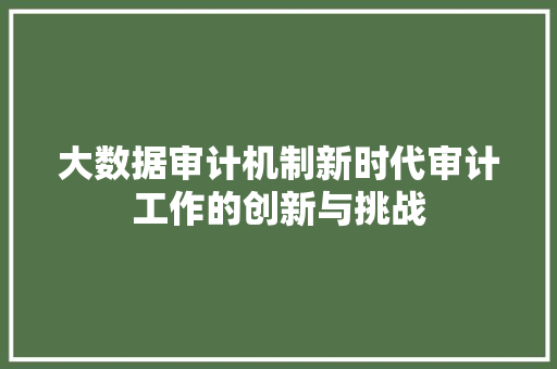 大数据审计机制新时代审计工作的创新与挑战