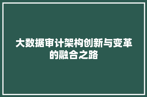 大数据审计架构创新与变革的融合之路  第1张