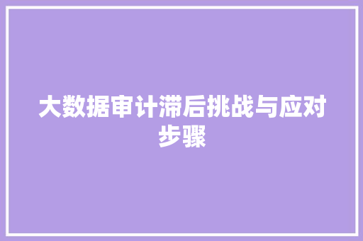 大数据审计滞后挑战与应对步骤  第1张