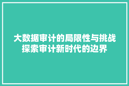 大数据审计的局限性与挑战探索审计新时代的边界