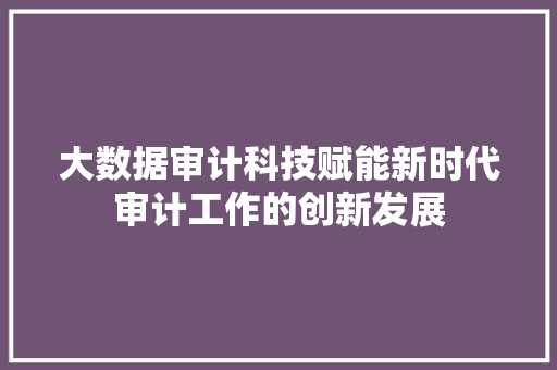 大数据审计科技赋能新时代审计工作的创新发展