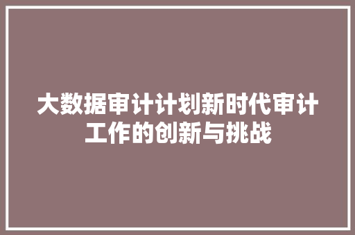 大数据审计计划新时代审计工作的创新与挑战  第1张