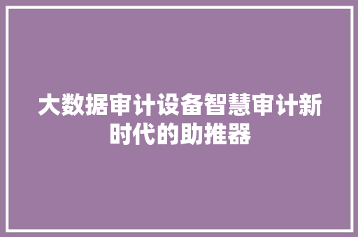 大数据审计设备智慧审计新时代的助推器