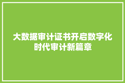 大数据审计证书开启数字化时代审计新篇章