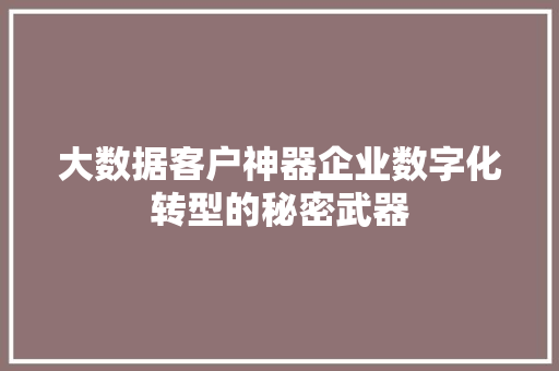 大数据客户神器企业数字化转型的秘密武器  第1张