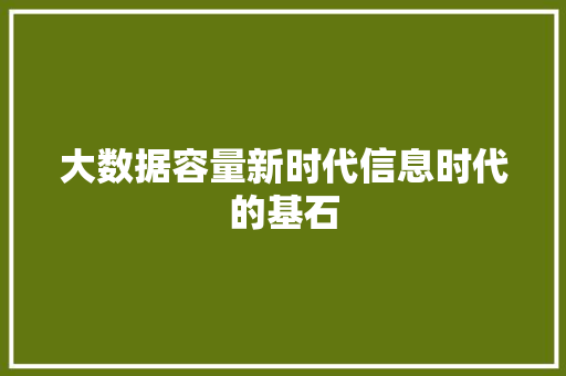大数据容量新时代信息时代的基石  第1张
