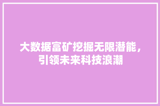 大数据富矿挖掘无限潜能，引领未来科技浪潮  第1张