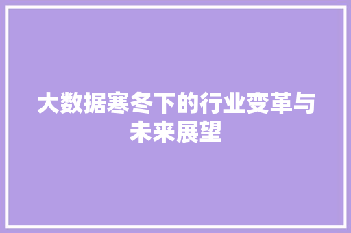 大数据寒冬下的行业变革与未来展望  第1张