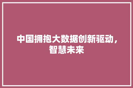 中国拥抱大数据创新驱动，智慧未来  第1张