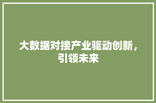 大数据对接产业驱动创新，引领未来
