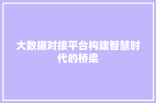 大数据对接平台构建智慧时代的桥梁  第1张