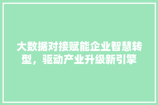 大数据对接赋能企业智慧转型，驱动产业升级新引擎