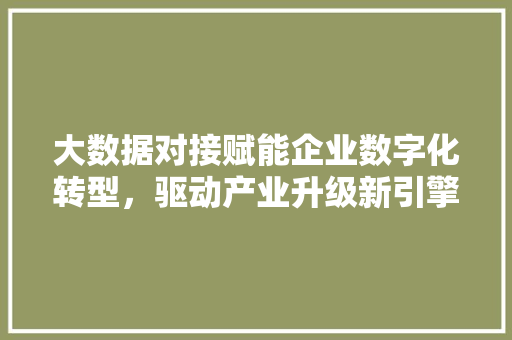 大数据对接赋能企业数字化转型，驱动产业升级新引擎