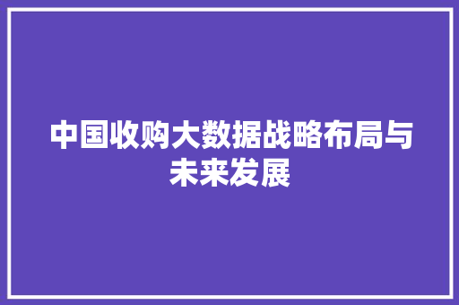 中国收购大数据战略布局与未来发展