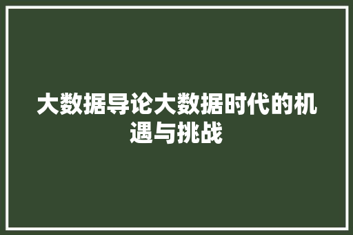大数据导论大数据时代的机遇与挑战
