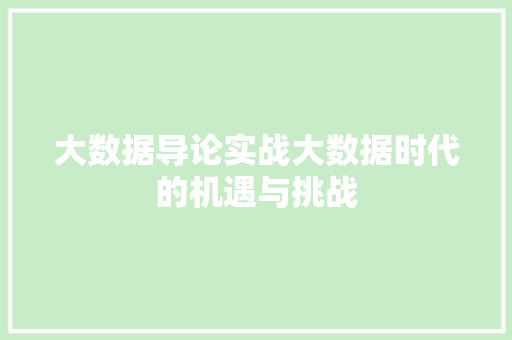 大数据导论实战大数据时代的机遇与挑战