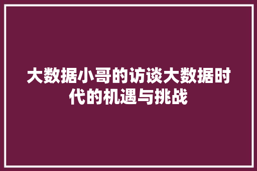 大数据小哥的访谈大数据时代的机遇与挑战
