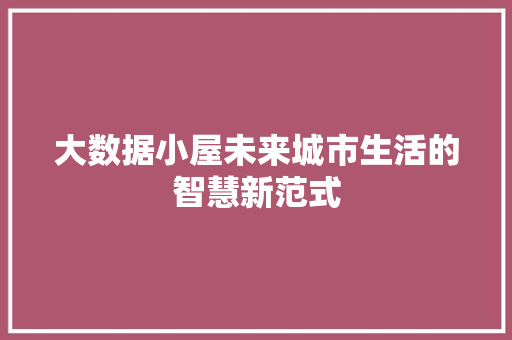 大数据小屋未来城市生活的智慧新范式  第1张