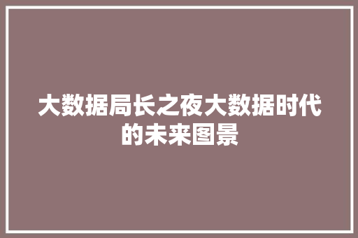 大数据局长之夜大数据时代的未来图景  第1张