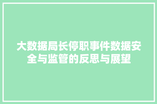 大数据局长停职事件数据安全与监管的反思与展望