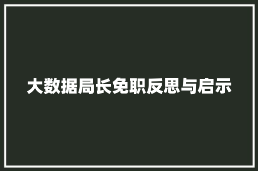 大数据局长免职反思与启示