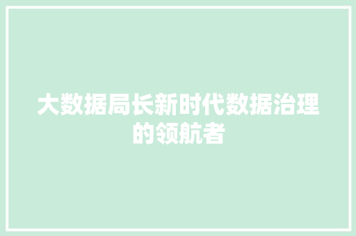 大数据局长新时代数据治理的领航者