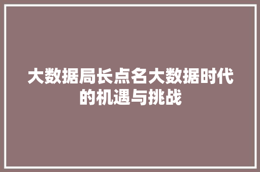 大数据局长点名大数据时代的机遇与挑战
