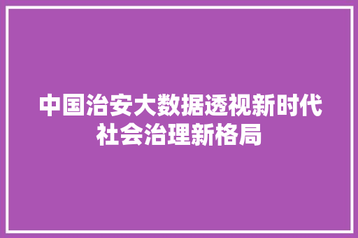 中国治安大数据透视新时代社会治理新格局