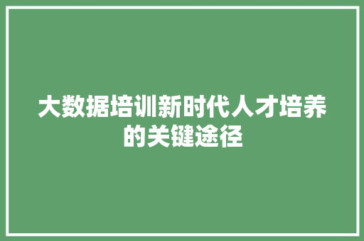 大数据培训新时代人才培养的关键途径