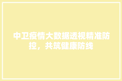 中卫疫情大数据透视精准防控，共筑健康防线