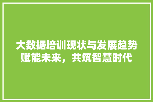大数据培训现状与发展趋势赋能未来，共筑智慧时代