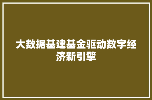 大数据基建基金驱动数字经济新引擎  第1张