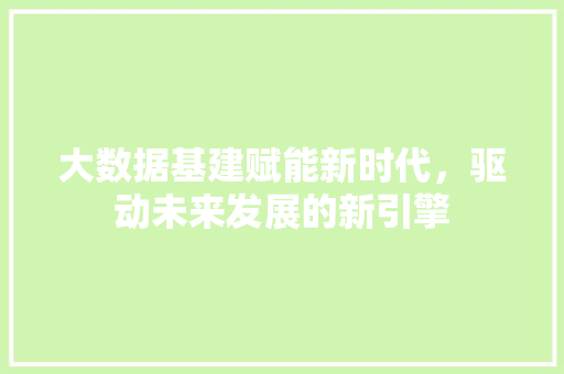 大数据基建赋能新时代，驱动未来发展的新引擎