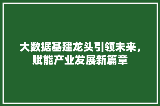 大数据基建龙头引领未来，赋能产业发展新篇章