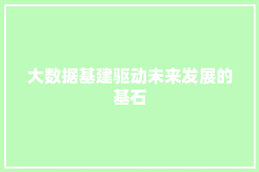 大数据基建驱动未来发展的基石