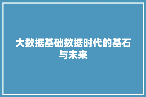 大数据基础数据时代的基石与未来