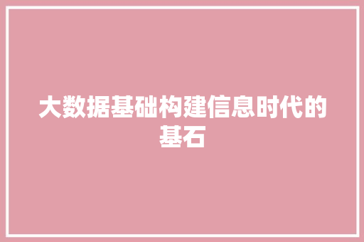 大数据基础构建信息时代的基石