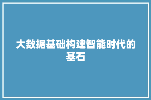 大数据基础构建智能时代的基石